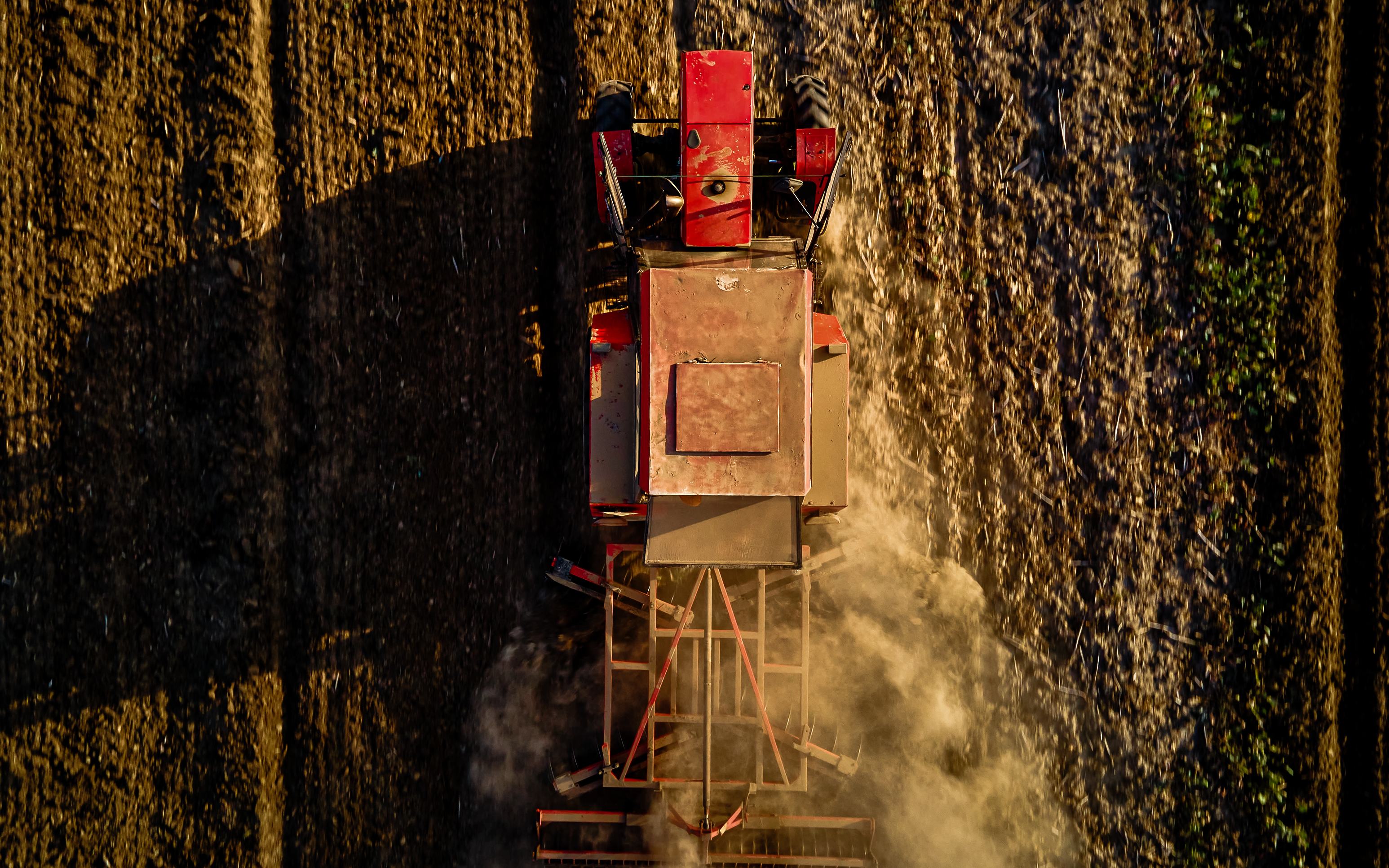 Sowing Innovation in Africa's Agri-business